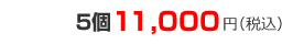 ササエール５個